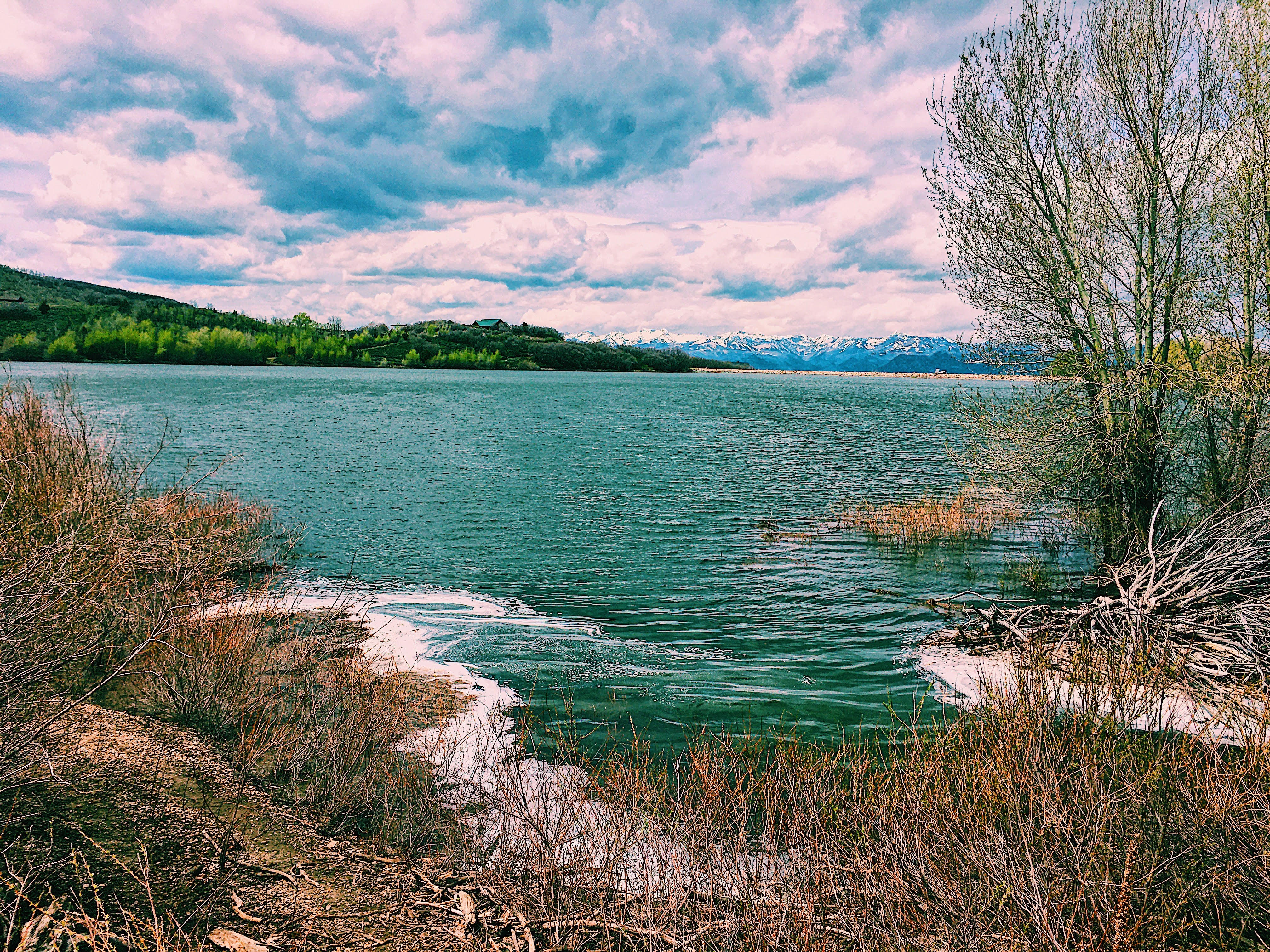 Reservoir pond at Lake Creek