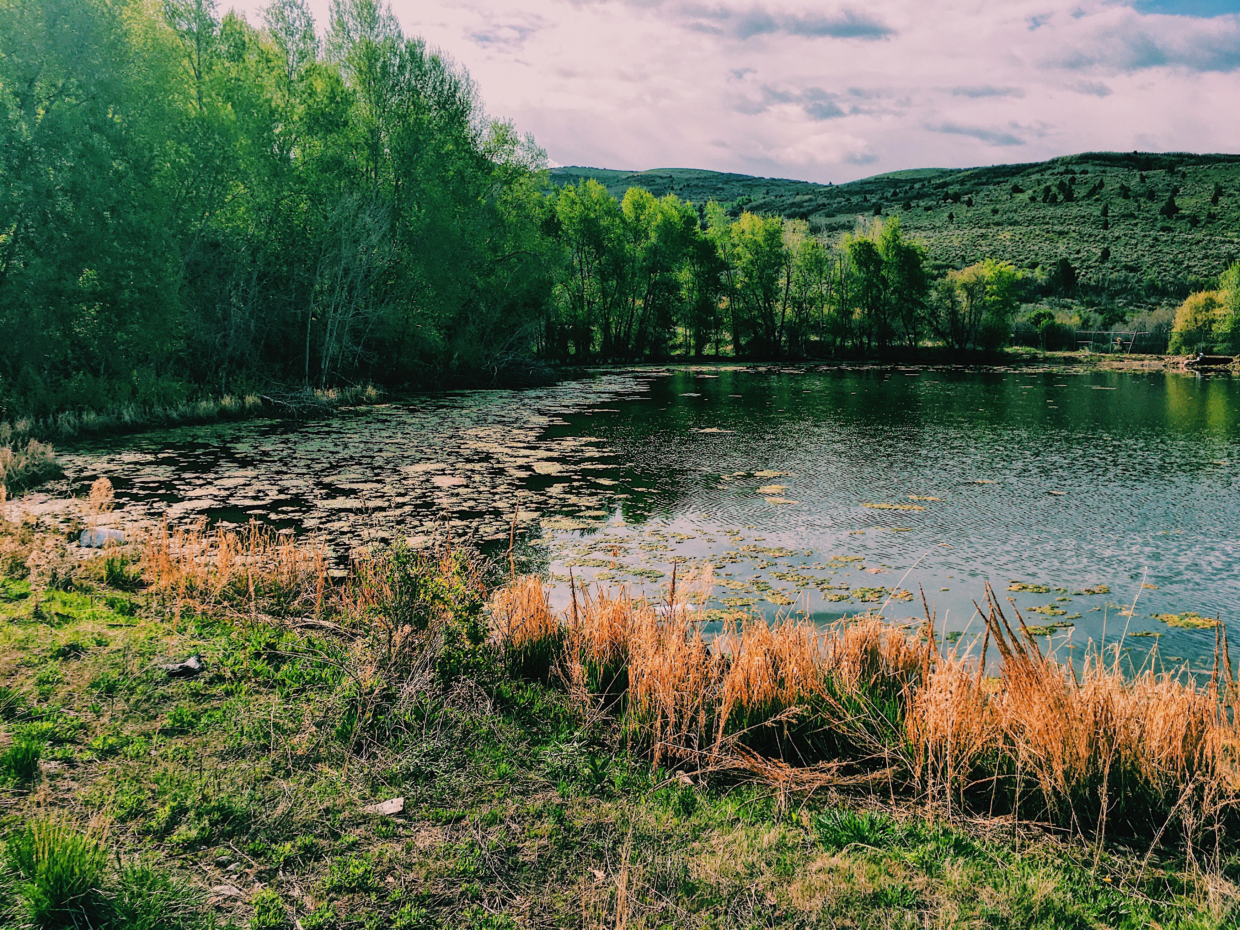 Another reservoir pond at upper Lake Creek